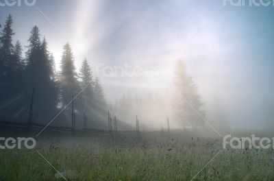 evening mountain plateau landscape (Carpathian, Ukraine)