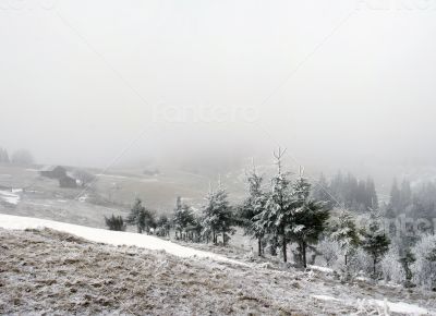 winter calm mountain landscape