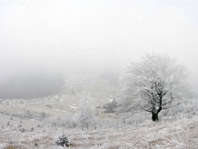 winter calm mountain landscape