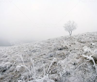 winter calm mountain landscape