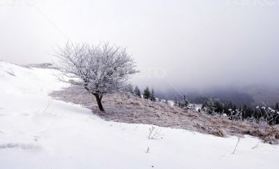 winter calm mountain landscape