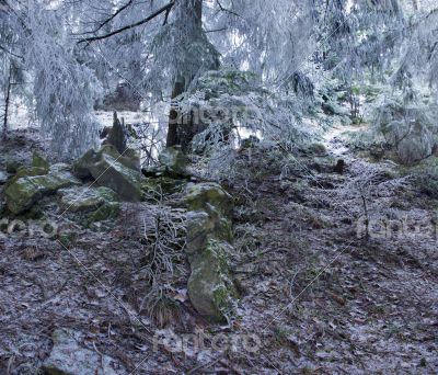 winter calm mountain landscape winter calm mountain landscape