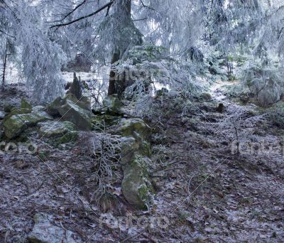 winter calm mountain landscape