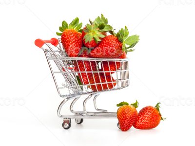 Large ripe strawberry in the cart for shopping