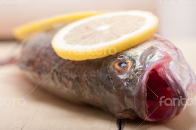 fresh whole raw fish