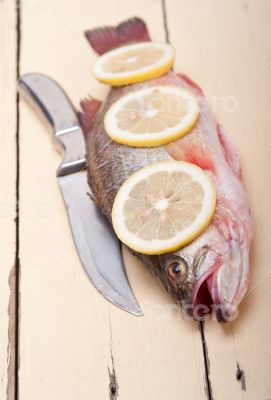 fresh whole raw fish