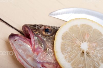 fresh whole raw fish