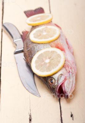 fresh whole raw fish fresh whole raw fish
