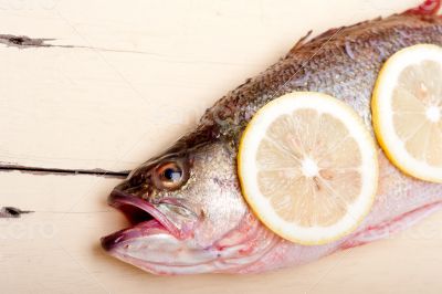 fresh whole raw fish