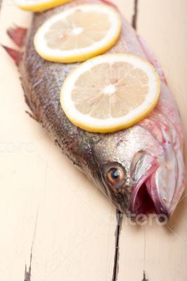 fresh whole raw fish