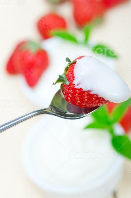 organic Greek yogurt and strawberry