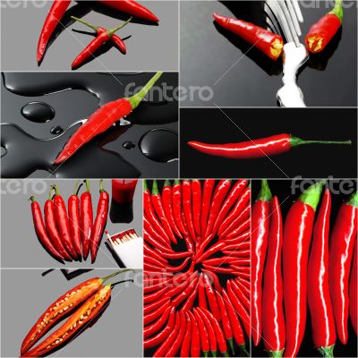 red hot chili peppers collage