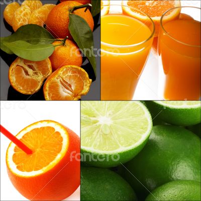 citrus fruits collage