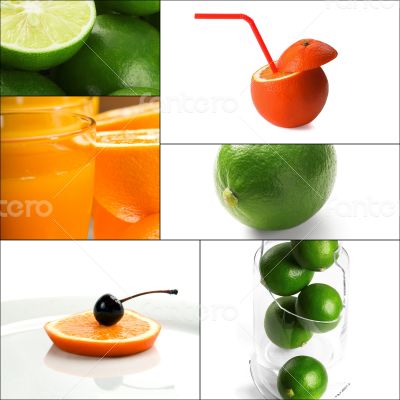 citrus fruits collage