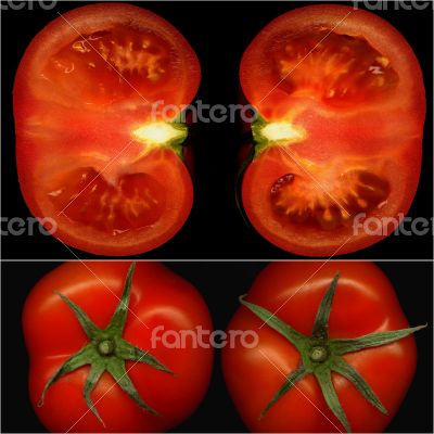 tomatoes collage