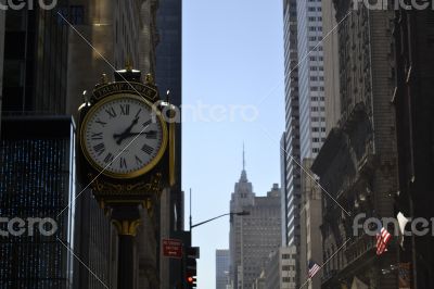 Checking the time on the 5th avenue