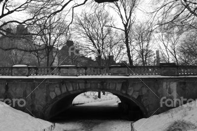 Bridge in Central Park under the Snow