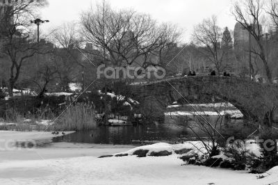 Gapstow bridge located on the South of Central park