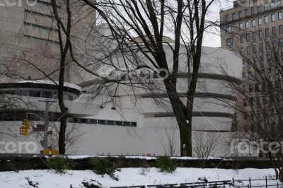 Gugenheim museum from central park