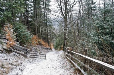 winter calm mountain landscape