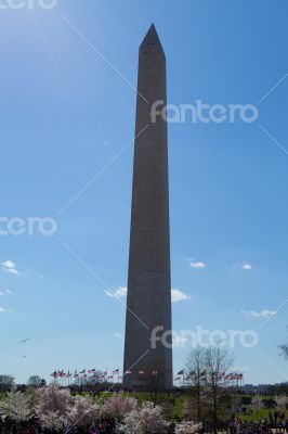 Washington Memorial Ovelisk