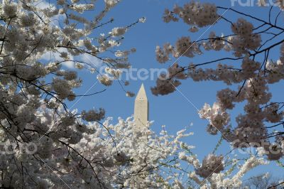 A pickto the Washington Memorial