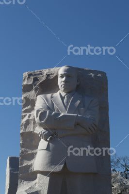 Martin Luther king during the cherry blossom festival