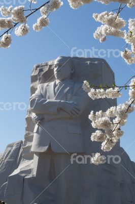 MLT framed by flowers