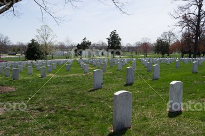 Arlington Cemetery 