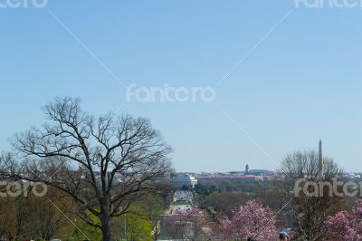 DC from Arlington Cemetery 