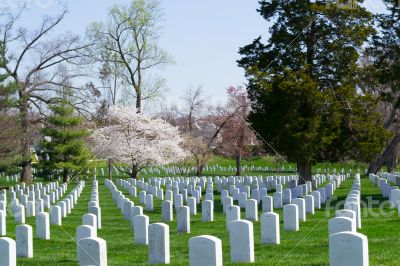 Gravestones at the Arlington Cemetery 