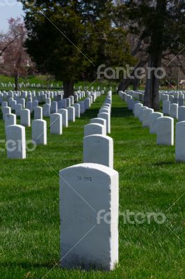 Lines of gravestones