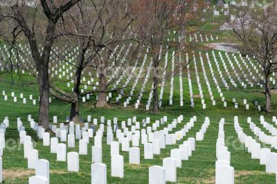 Lines of tombstones