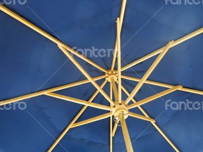 Umbrella Umbrella