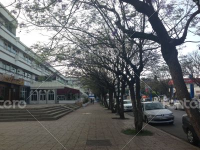 city street after noon