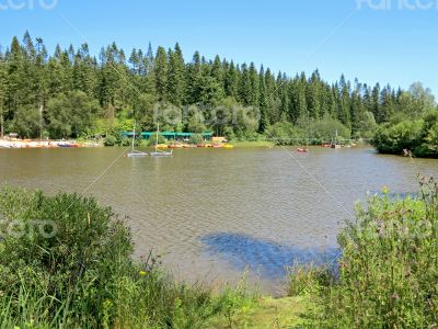 Lake in the Countryside