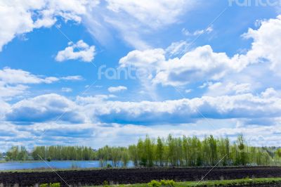 Summer landscape with sky and forest