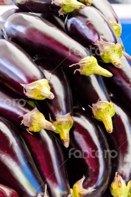 Background with fresh eggplant