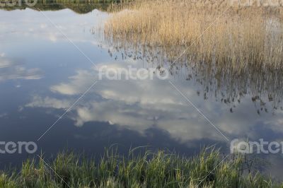 Bathing the clouds on the water surface o the pond