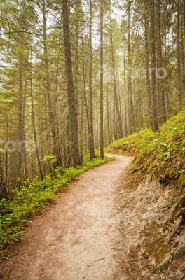 Rocky Mountains Hiking Trail