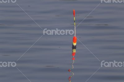 Fishing the float bobs on the waves