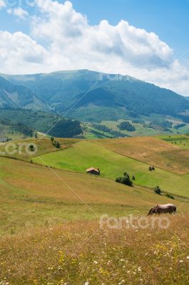 Landscape in the Ukrainian Carpathians