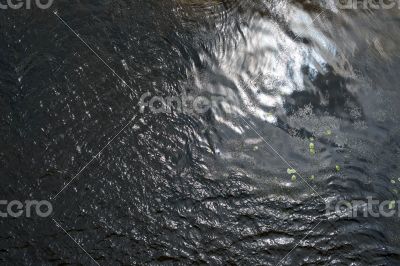 Water surface with ripples and water plants