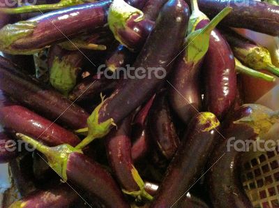 Aubergine color