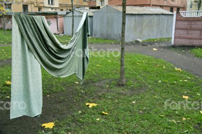 Curtain drying on string in backyard 