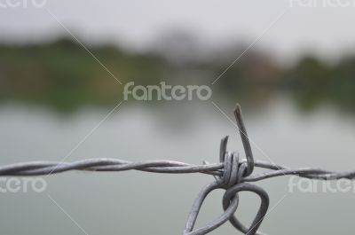 Garden fence