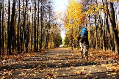 cyclist