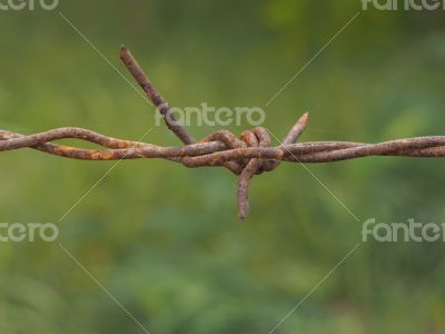 rust wire