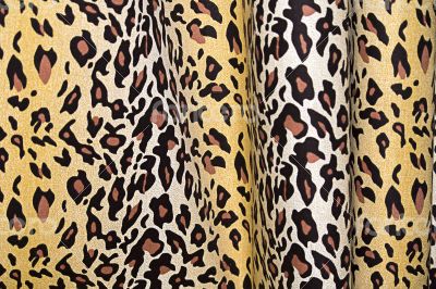 Leopard Texture Background