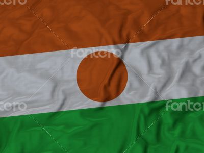 Close up of Ruffled Niger flag